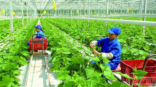 <a href="/chong-dien-bien-hoa-binh/lam-that-bai-am-muu-dien-bien-hoa-binh" title="Làm thất bại âm mưu diễn biến hòa bình" rel="dofollow">Làm thất bại âm mưu diễn biến hòa bình</a>