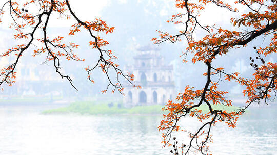<a href="/luan-ban" title="Luận bàn" rel="dofollow">Luận bàn</a>