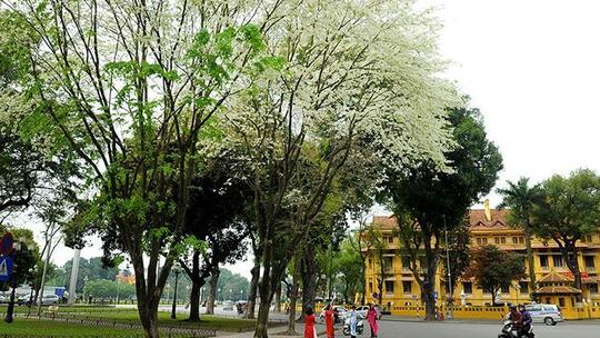 <a href="/van-hoa-xa-hoi/net-dep-nguoi-chien-sy-thu-do" title="Hà Nội thanh lịch" rel="dofollow">Hà Nội thanh lịch</a>