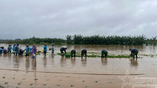 <a href="/quoc-phong-an-ninh/hau-phuong-quan-doi2" title="Hậu phương quân đội" rel="dofollow">Hậu phương quân đội</a>
