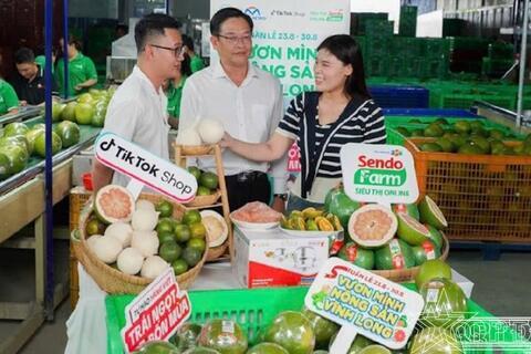 Thương mại điện tử thúc đẩy chuỗi giá trị nông sản Việt