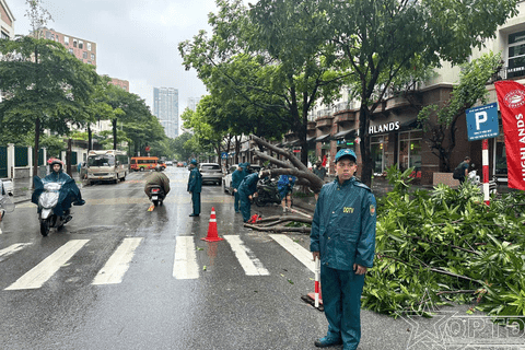 Ban CHQS phường dầm mưa dọn cây ngã đổ, phân luồng giao thông sau mưa lớn