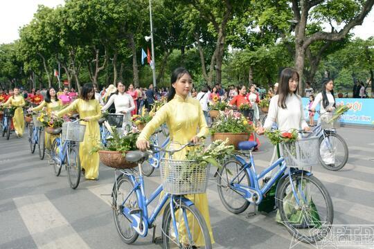 Nổi bật