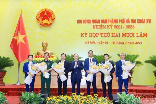 Nổi bật